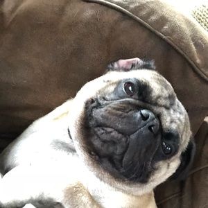 Meet your Posher, Marlene